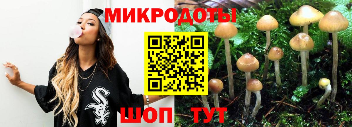 Псилоцибиновые грибы Psilocybe  Вход с VPN  Ликино-Дулёво  Псилоцибиновые грибы мицелий 